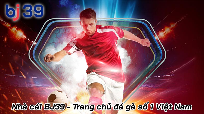 BJ39 - Trang chủ casino và đá gà trực tiếp Thomo chính thức | Hình số 21 BJ39 - Trang chủ casino và đá gà trực tiếp Thomo chính thức